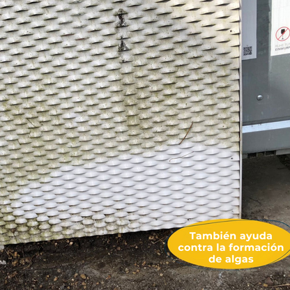 Kit Antimoho Extremo™