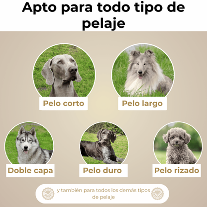 Waliro Deslanador™ – Cepillo AntiPelos Profesional