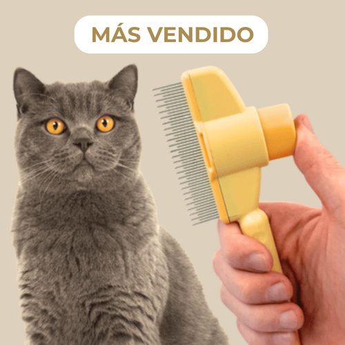 Waliro CepilloClick™