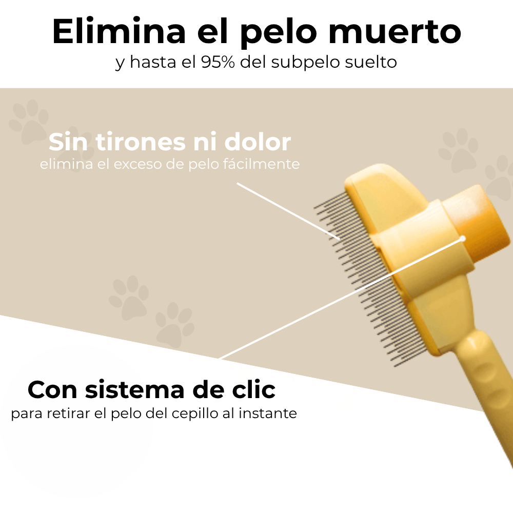 Waliro CepilloClick™