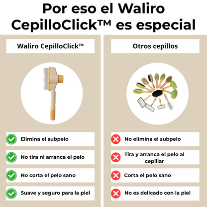 Waliro CepilloClick™