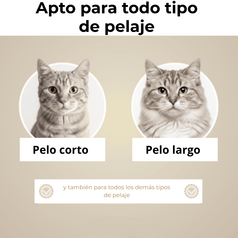 Waliro CepilloClick™