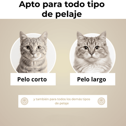 Waliro CepilloClick™