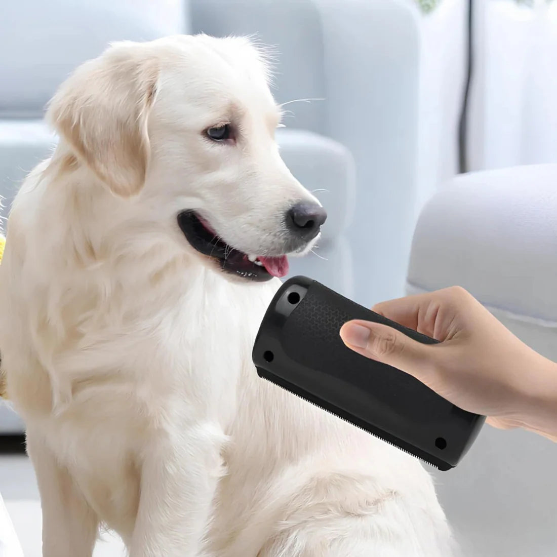 Waliro Deslanador™ – Cepillo AntiPelos Profesional