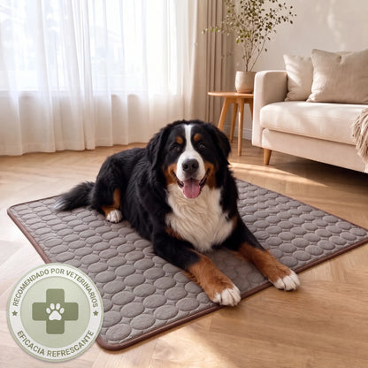 WALIRO™ ALFOMBRILLA REFRESCANTE 2x1