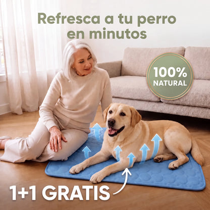 WALIRO™ ALFOMBRILLA REFRESCANTE 2x1