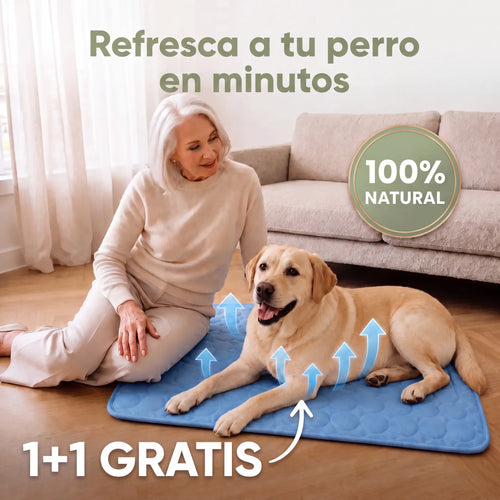 WALIRO™ ALFOMBRILLA REFRESCANTE 2x1