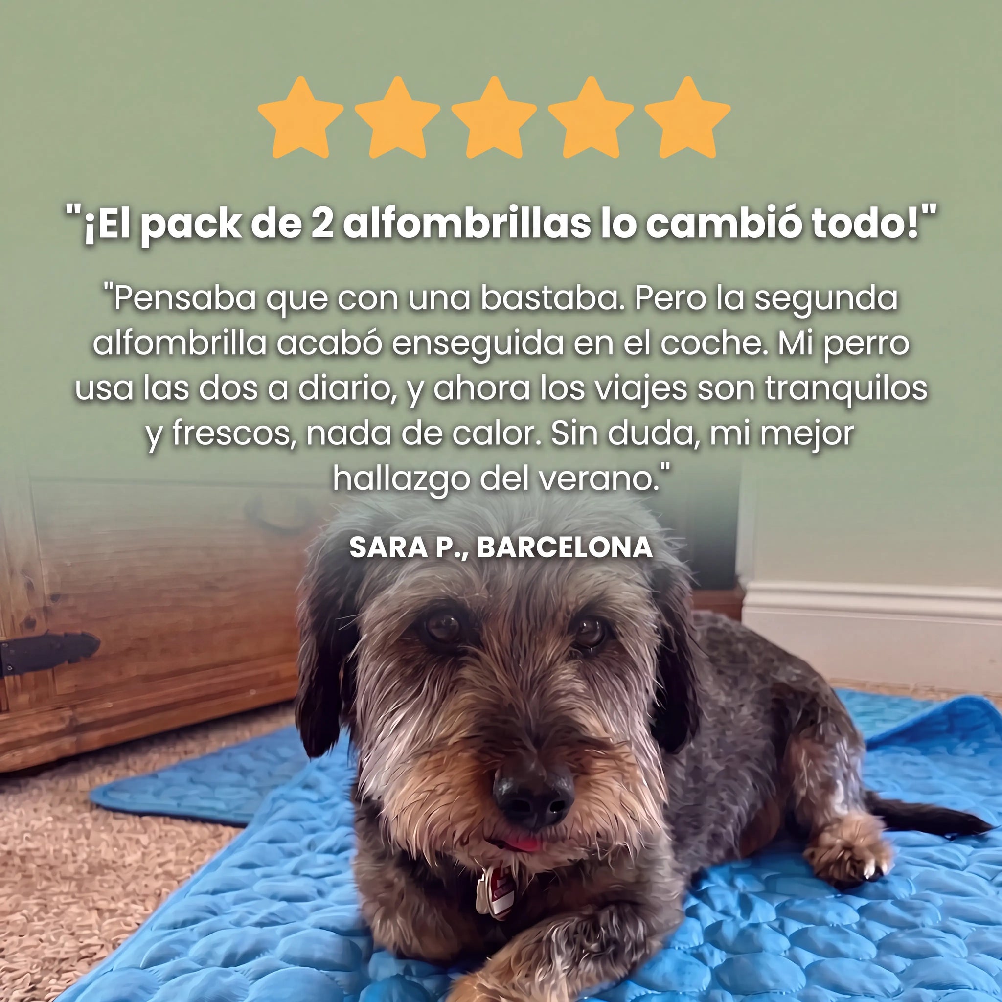 WALIRO™ ALFOMBRILLA REFRESCANTE 2x1